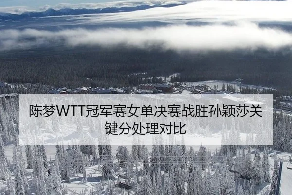 chen-meng-guan-jun-sai-nv-dan-jue-sai-zhan-sheng-sun-ying-sha-guan-jian-fen-chu-li-dui-bi-3-773.jpg