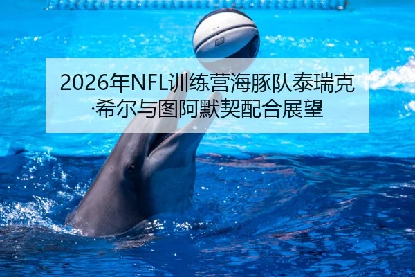 2026年NFL训练营海豚队泰瑞克·希尔与图阿默契配合展望