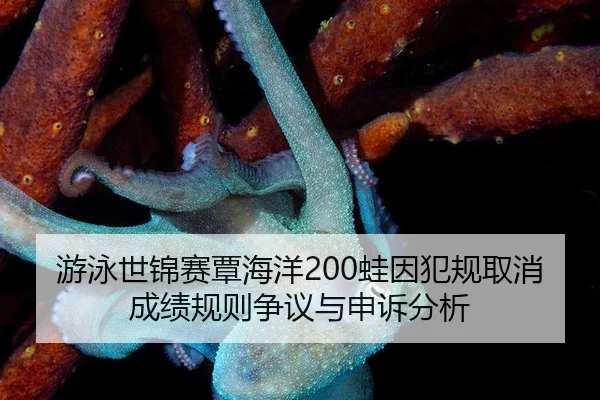 游泳世锦赛覃海洋200蛙因犯规取消成绩规则争议与申诉分析